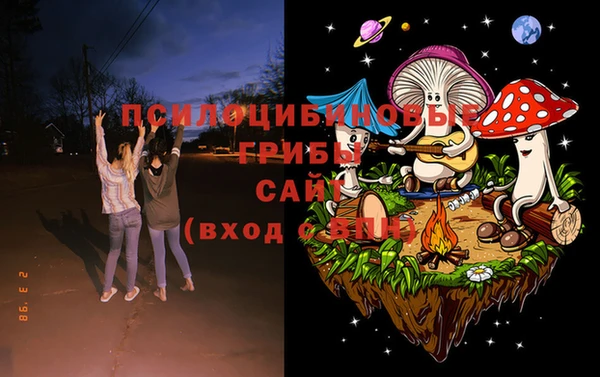 ALPHA PVP Снежинск