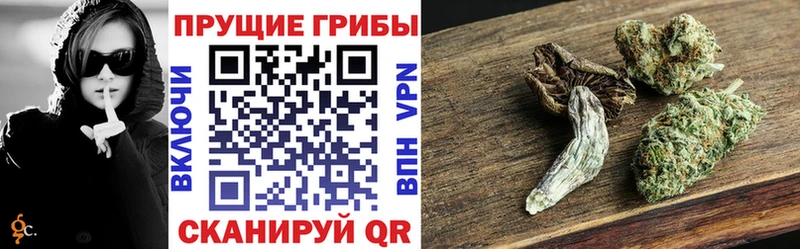 Псилоцибиновые грибы мухоморы  мега ТОР  Кодинск 